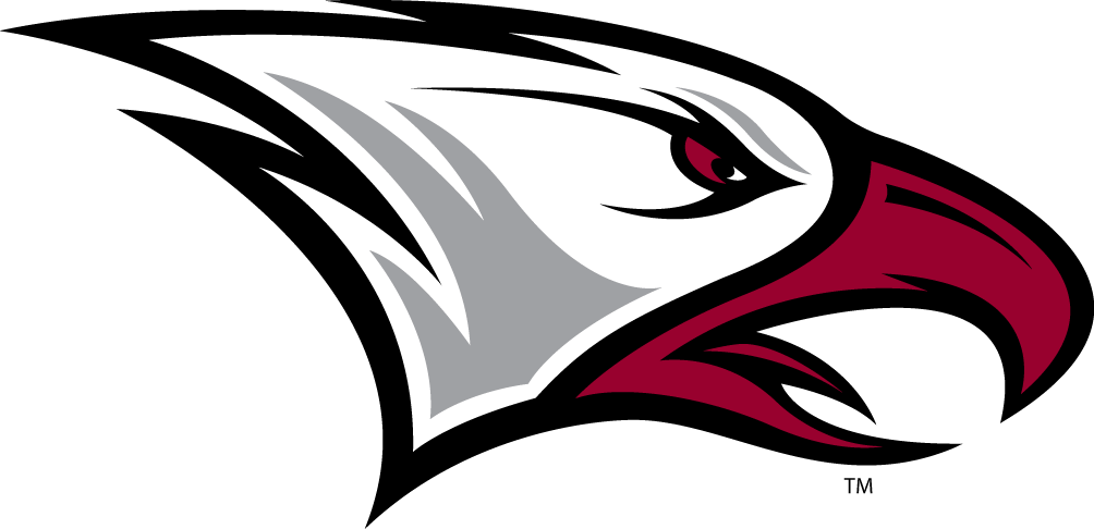 NCCU Eagles 2006-Pres Partial Logo 02 iron on paper